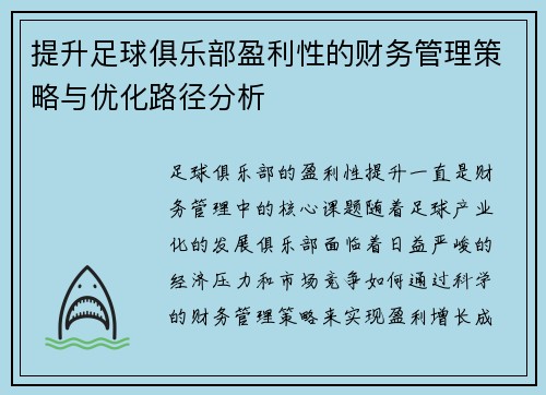 提升足球俱乐部盈利性的财务管理策略与优化路径分析